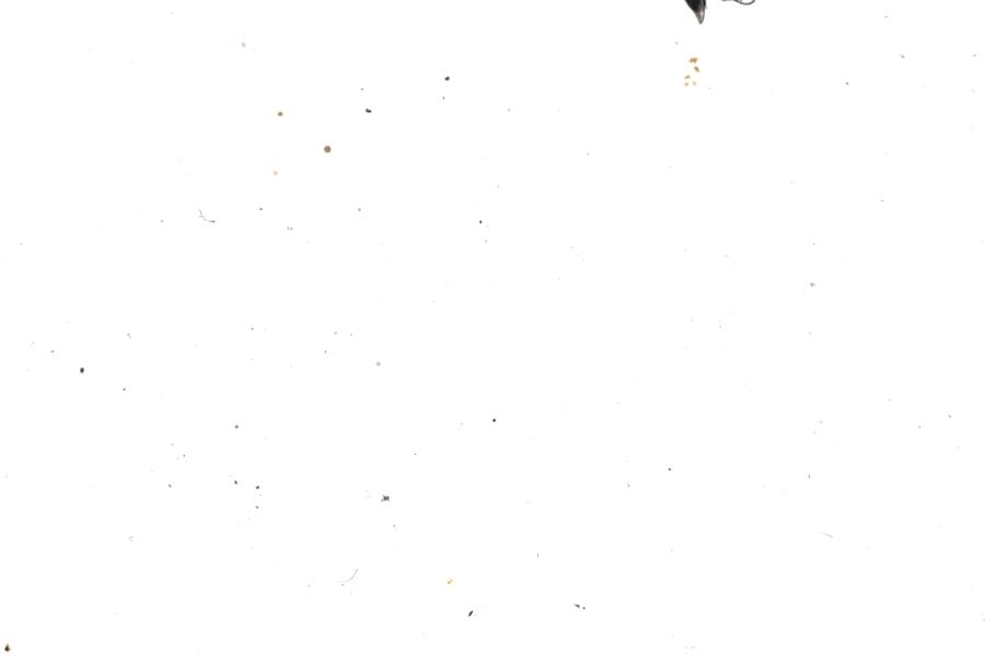 Image 45